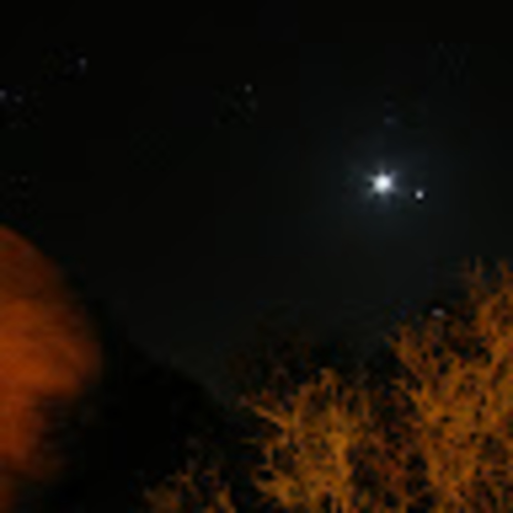 Meet your Posher, Yianna